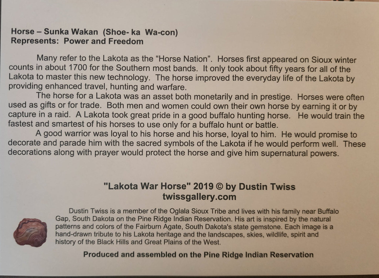 N - 020 "Lakota War Horse" - Notecard - Twiss Gallery