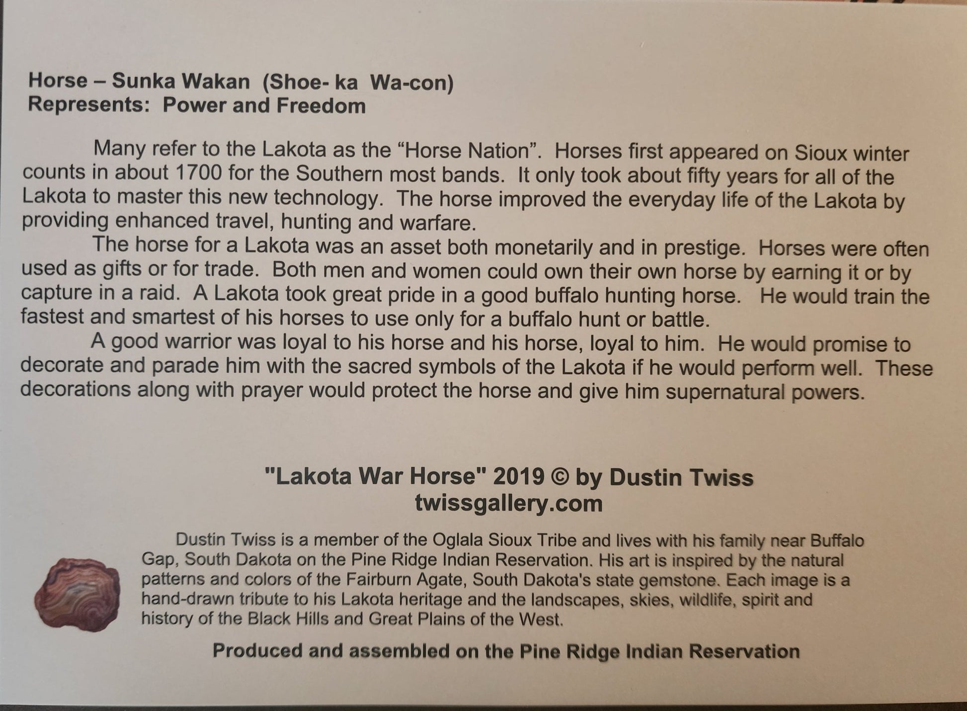 N - 020 "Lakota War Horse" - Notecard - Twiss Gallery