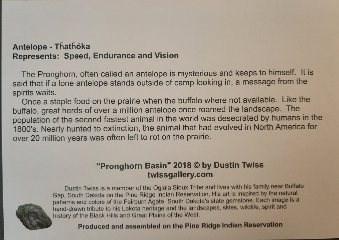 N - 025 "Pronghorn Basin" Notecard - Twiss Gallery