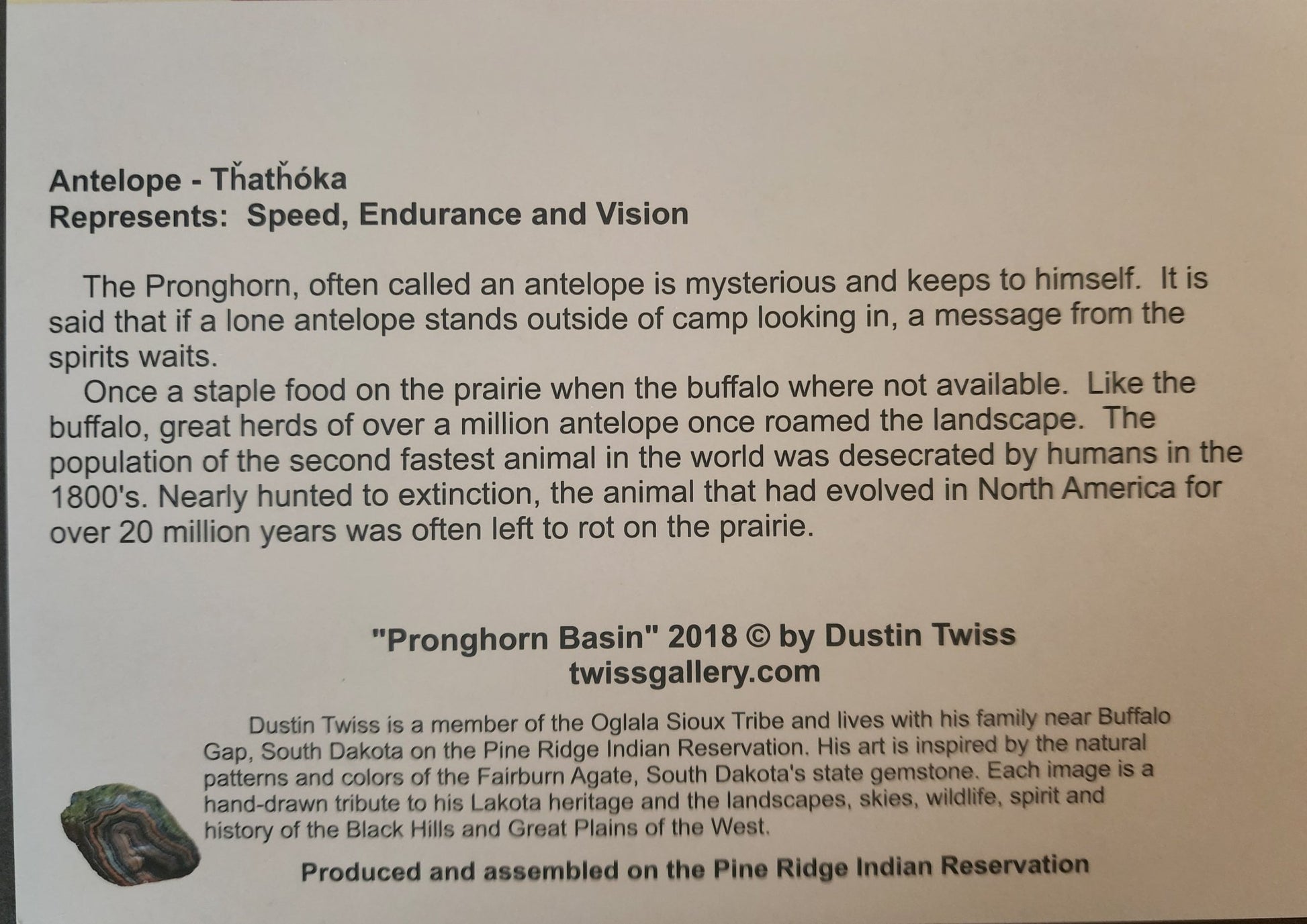 N - 025 "Pronghorn Basin" Notecard - Twiss Gallery