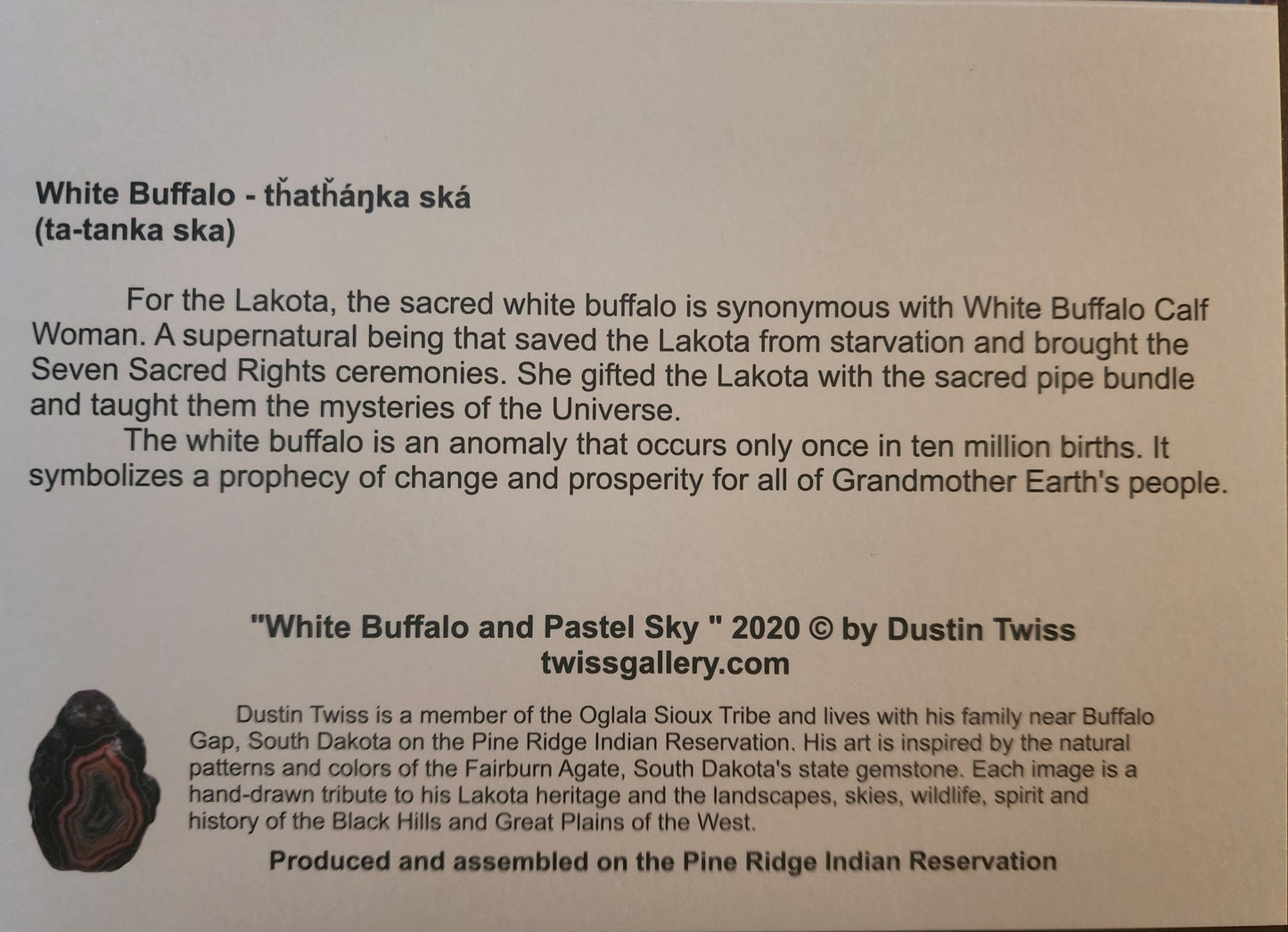 N - 027 "White Buffalo and Pastel Sky" Notecard - Twiss Gallery
