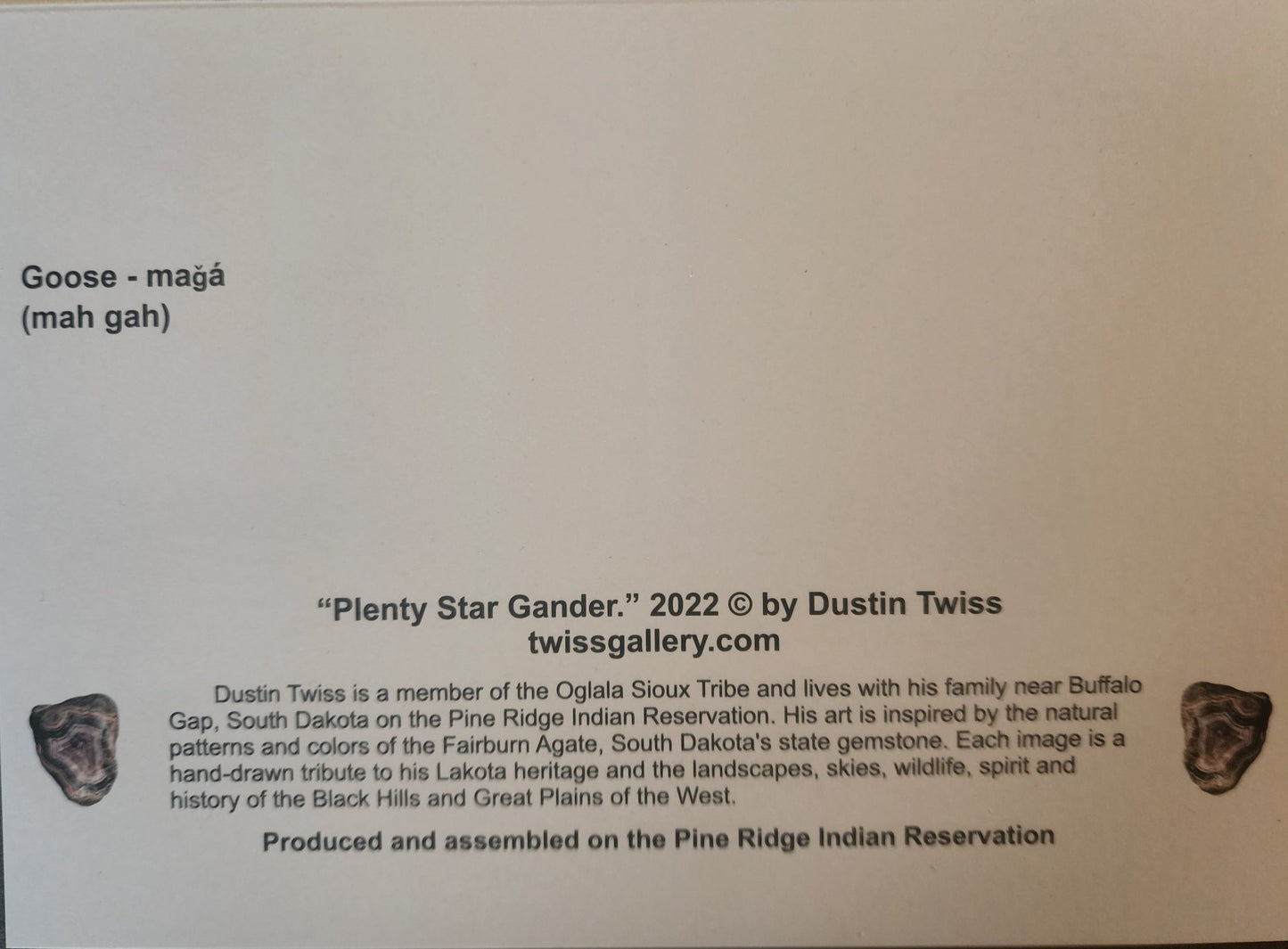 N - 030 "Plenty Star Gander" Notecard - Twiss Gallery