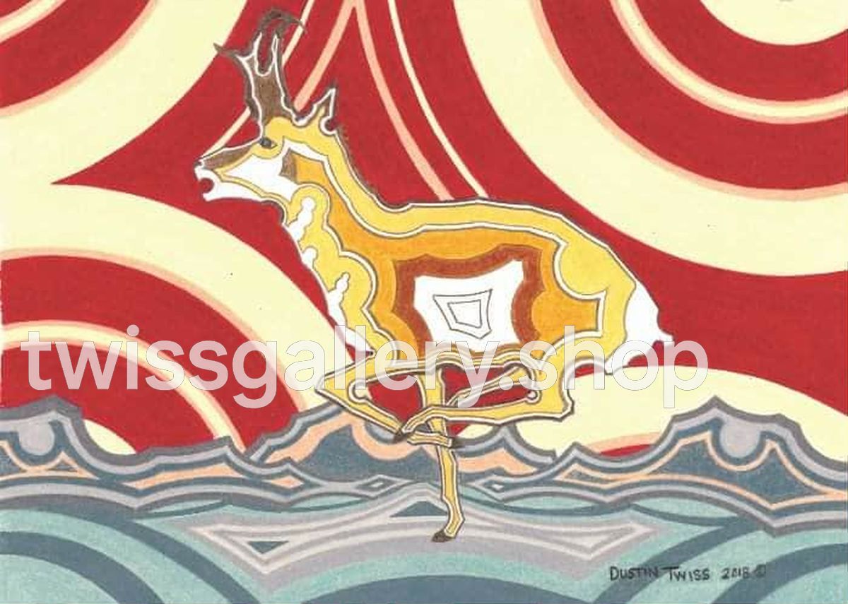 Pronghorn Basin - Twiss Gallery