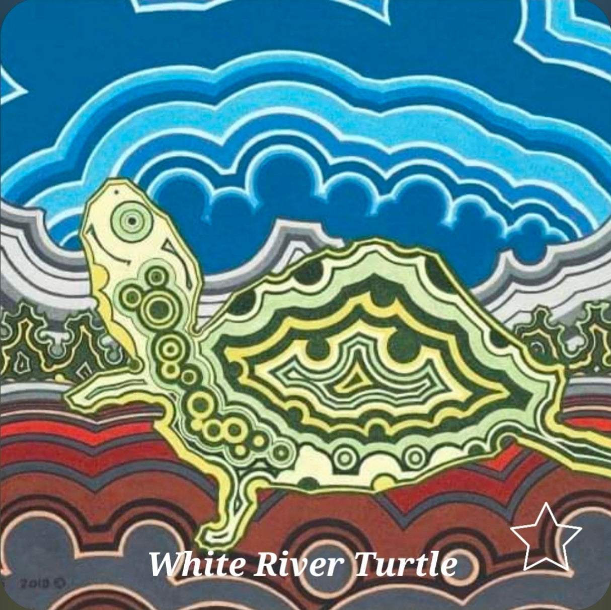 N-032 "White River Turtle" - Notecard