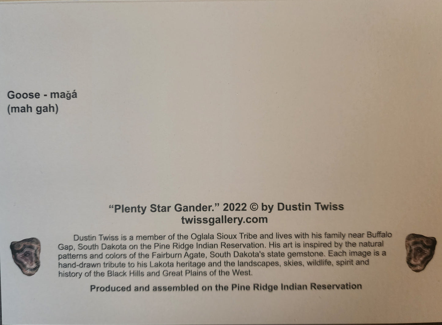 N-030 "Plenty Star Gander" Notecard