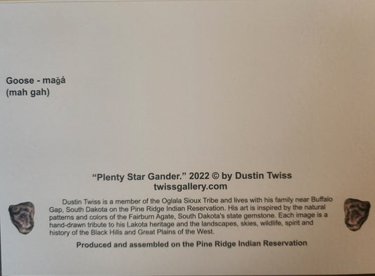 N-030 "Plenty Star Gander" Notecard